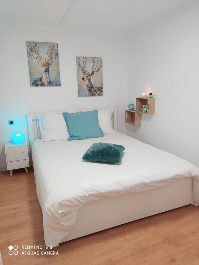 appartement rez de chaussée 2 chambres avec terrasse Cambo-les-Bains Esterno foto